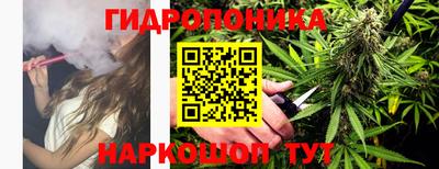 винт Дубна