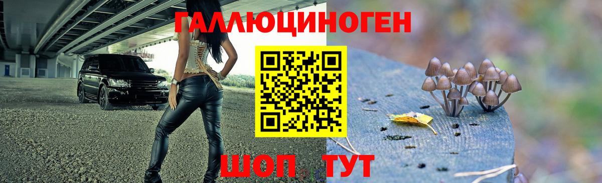 Галлюциногенные грибы Magic Shrooms  Вход с VPN  Нальчик 